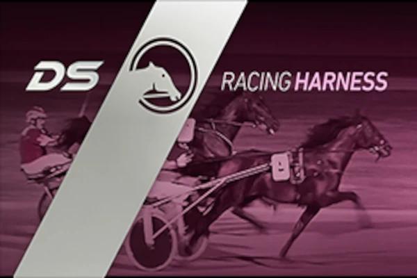 Racing Harness