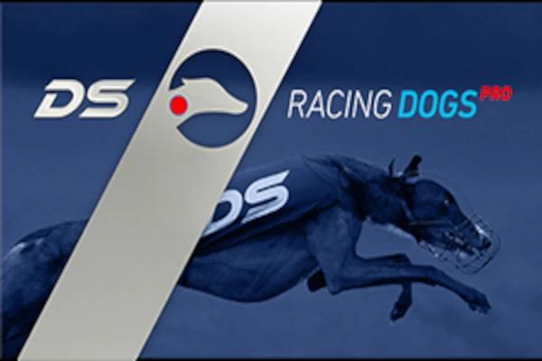 Racing Dogs PRO
