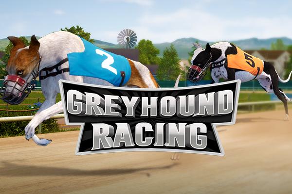 Greyhound Racing