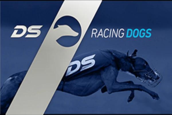 Racing Dogs